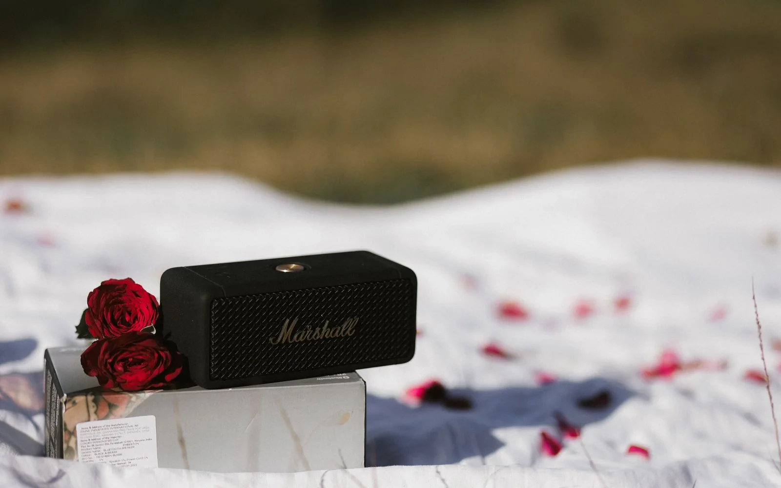 Audio gear in a lived-in everyday setting